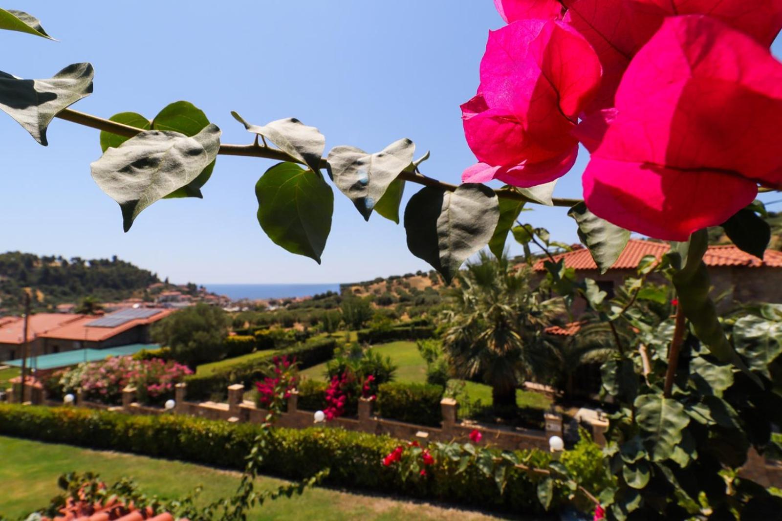 Blue Dream Villa Nea Skioni